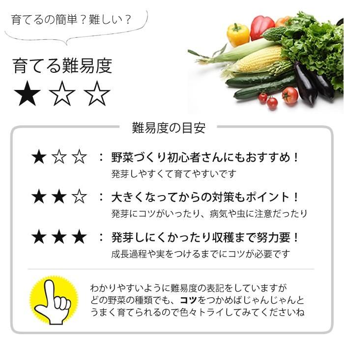 年末年始大決算 種 有機種子 イタリアンパセリ Whitesforracialequity Org