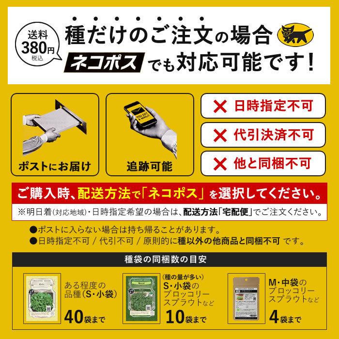 種 有機種子 ラディッシュ 二十日大根 紅白セミロングタイプ 固定種｜eco-guerrilla｜07