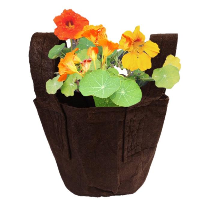 オーガニック 栽培キット ナスタチウム キンレンカ 栽培セット エディブルフラワー ハーブ 食用花 Gpb116 水耕栽培専門のエコゲリラヤフー店 通販 Yahoo ショッピング