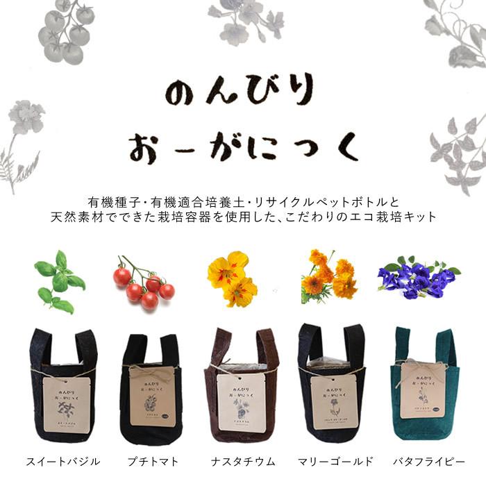 期間限定今なら送料無料 栽培セット エディブルフラワー 底面給水 ハーブ おしゃれ かわいい インテリア モダンスプラウト タンブラー Barber Com