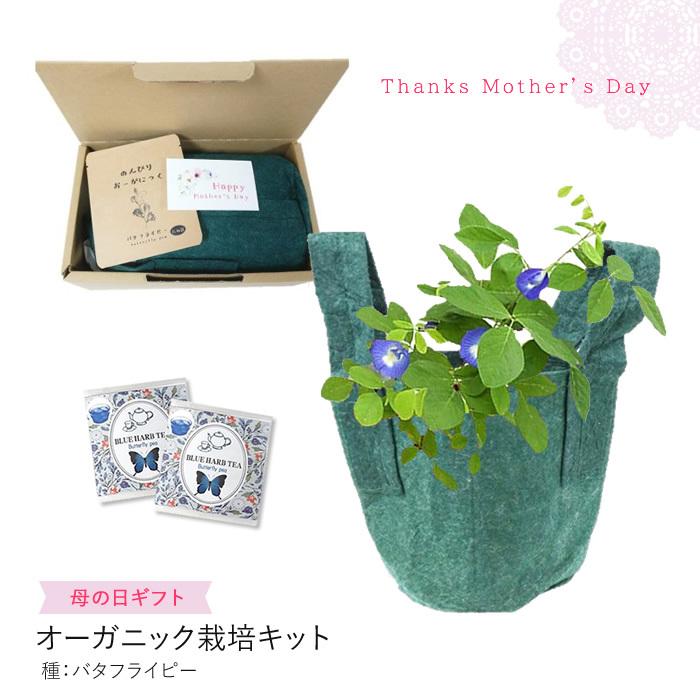 母の日 ギフト オーガニック 栽培キット バタフライピー 栽培セット エディブルフラワー ハーブ 食用花 Gpb119 水耕栽培専門のエコゲリラヤフー店 通販 Yahoo ショッピング