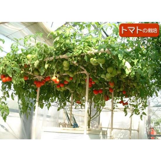 水耕栽培キット ホームハイポニカ303 : 水耕栽培専門店のエコゲリラ
