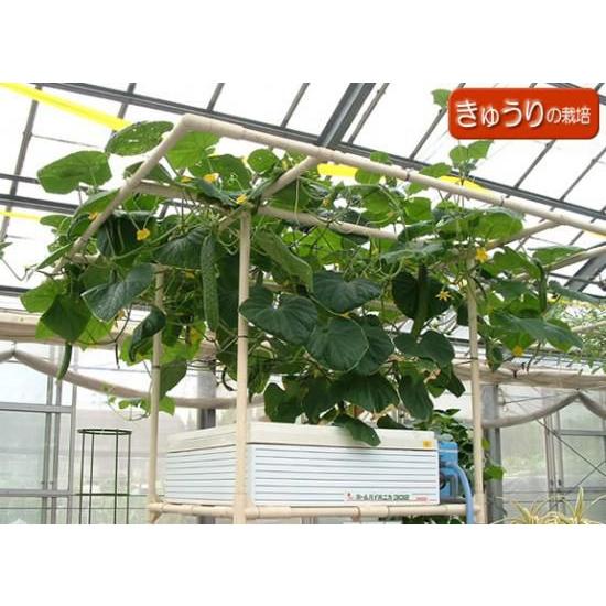 水耕栽培キット ホームハイポニカ303 : 水耕栽培専門店のエコゲリラ