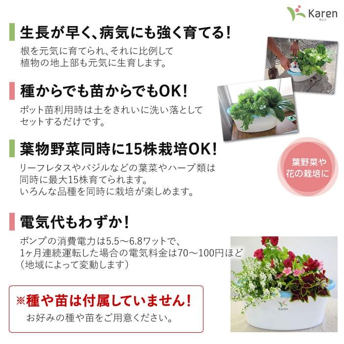 販売終了 水耕栽培キット ホームハイポニカ Karen カレン ブルー Hhpkb 水耕栽培専門のエコゲリラヤフー店 通販 Yahoo ショッピング