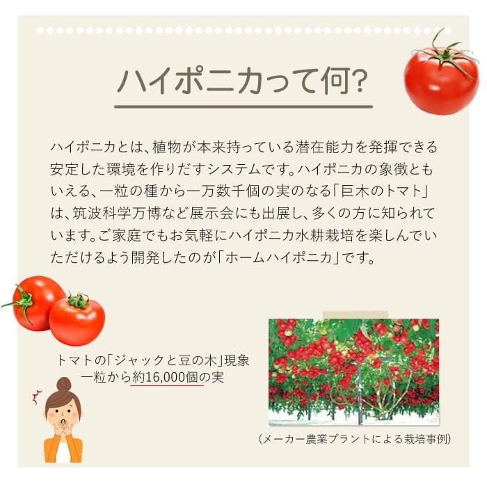 水耕栽培キット ホームハイポニカ Karen カレン イエロー 在庫限りで販売終了 Hhpky 水耕栽培専門のエコゲリラヤフー店 通販 Yahoo ショッピング