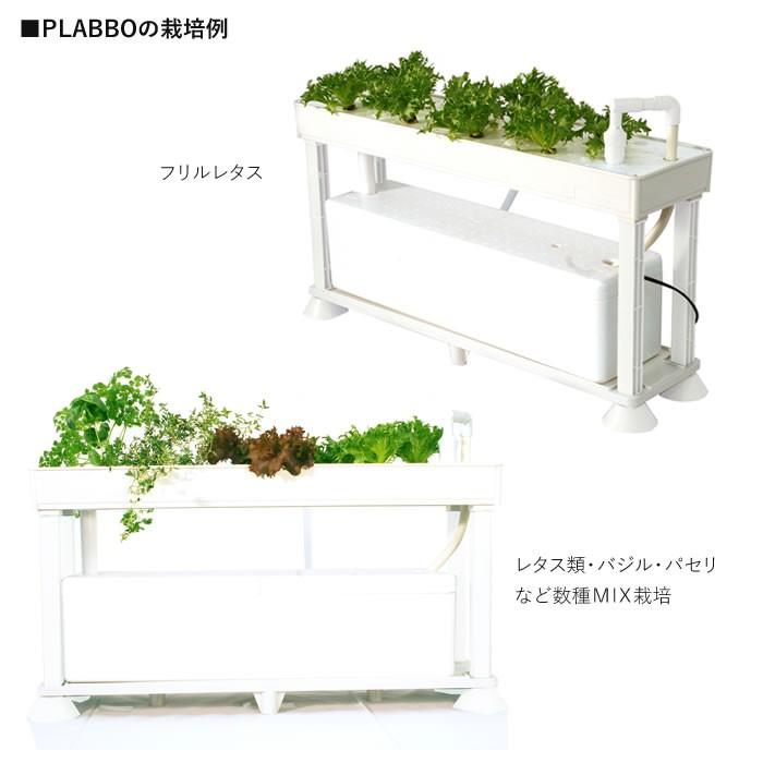 ホームハイポニカ　水耕栽培セット　PLAABO プラーボ 水耕栽培キット ホームハイポニカ PLAABO プラーボ - 水耕栽培