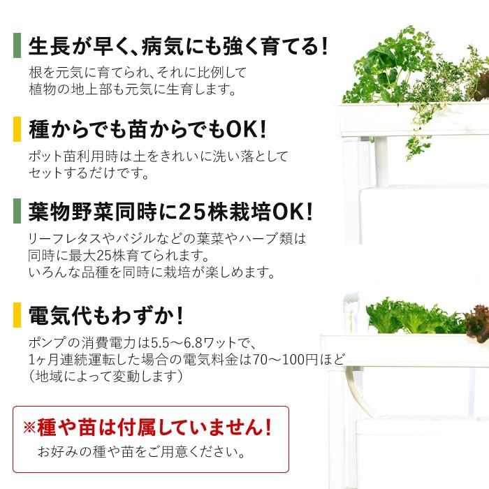 ホームハイポニカ　水耕栽培セット　PLAABO プラーボ ホームハイポニカ PLAABO – ハイポニカ | 協和株式会社