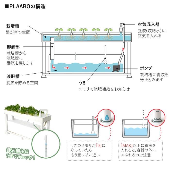 水耕栽培キット 水耕栽培セット 栽培キット ホームハイポニカ