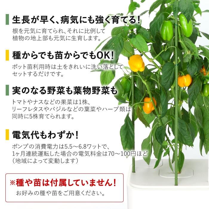 水耕栽培 水耕栽培キット 栽培キット 室内 ホームハイポニカ MASUCO マスコ 水耕栽培キット ホームハイポニカ MASUCO マスコ E1051460357(10175円)