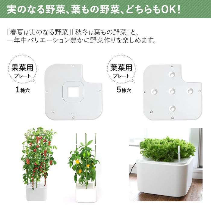水耕栽培キット 水耕栽培セット 栽培キット 室内 ホーム 水耕栽培キット 水耕栽培セット 栽培キット 室内 ホーム