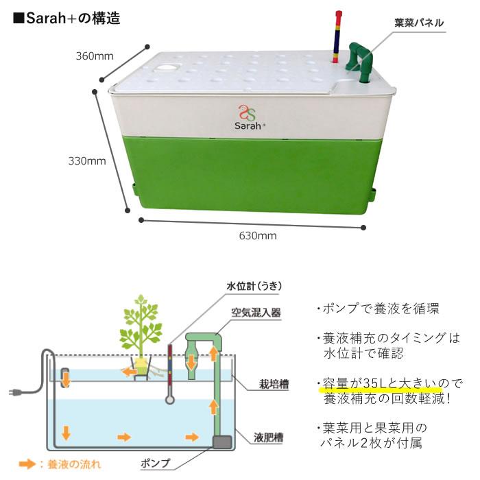水耕栽培 水耕栽培キット 野菜 栽培キット ホームハイポニカ