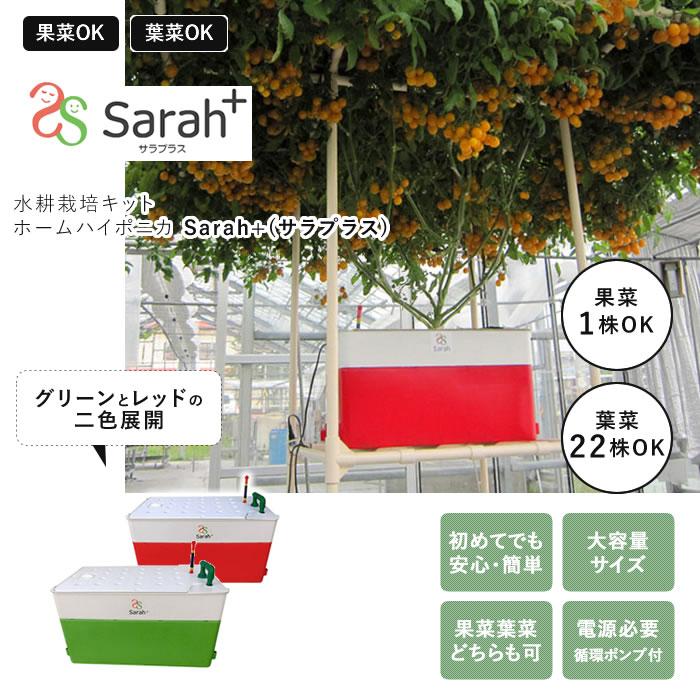ホームハイポニカ　Sarah➕　水耕栽培キット 楽天市場】水耕栽培キット 水耕栽培 キット 栽培セット