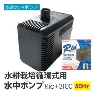 水中ポンプ 水耕栽培 循環式用 Rio+3100 50Hz