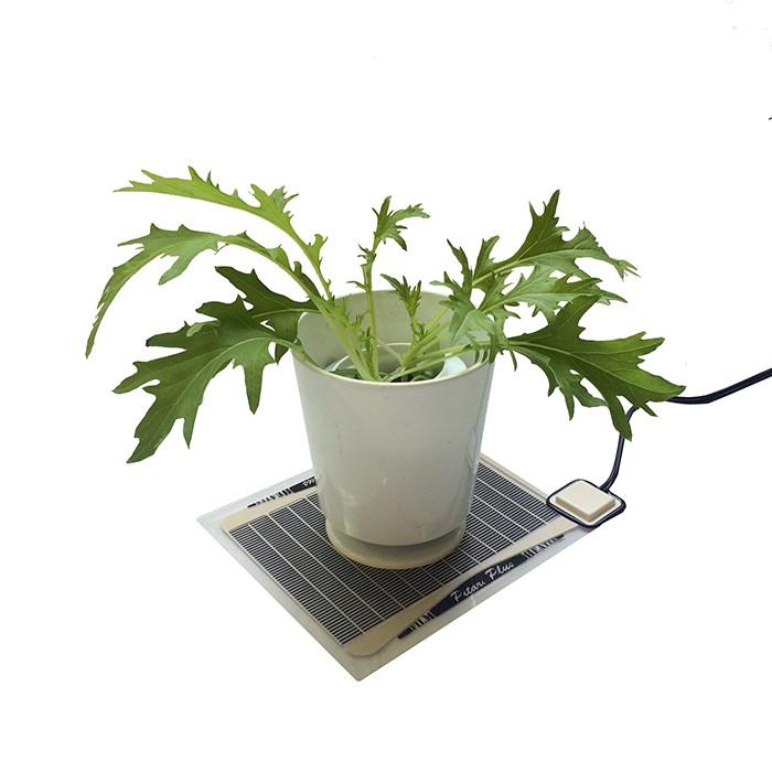 ピタリ適温プラス 1号 発芽 育苗 水耕栽培 ヒーターマット みどり商会