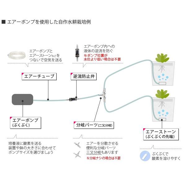 分岐パーツ 三又分岐 エアーポンプ用 :LSMKAQ02:水耕栽培専門のエコゲリラヤフー店 - 通販 - Yahoo!ショッピング