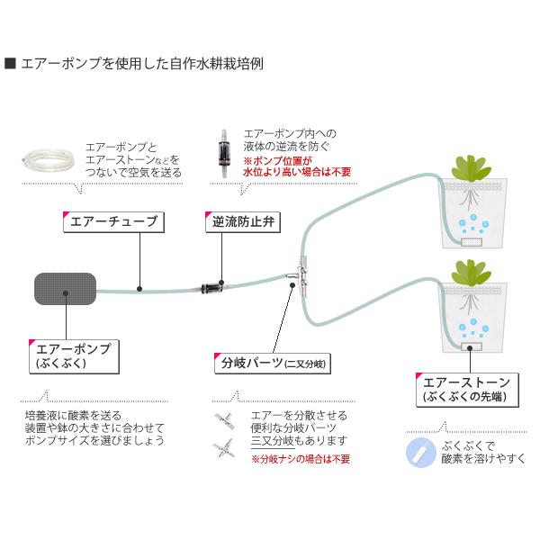 エアーストーン ぶくぶくの先端 エアーポンプ用 : 水耕栽培専門店の