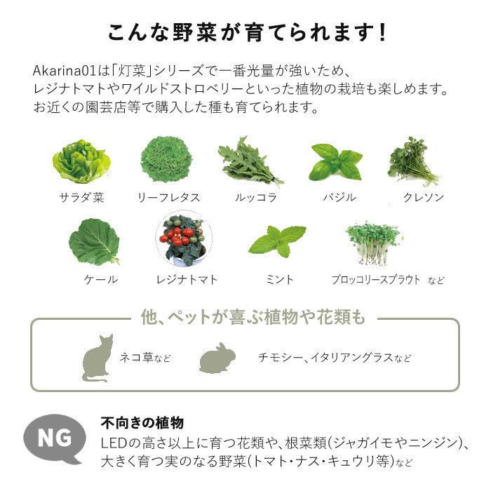 水耕栽培キット 水耕栽培セット 野菜 室内 LED Akarina01RN2