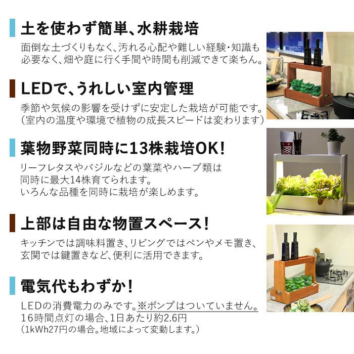 LED 水耕栽培 キット Akarina06 アカリーナ OMA06 : 水耕栽培専門店の