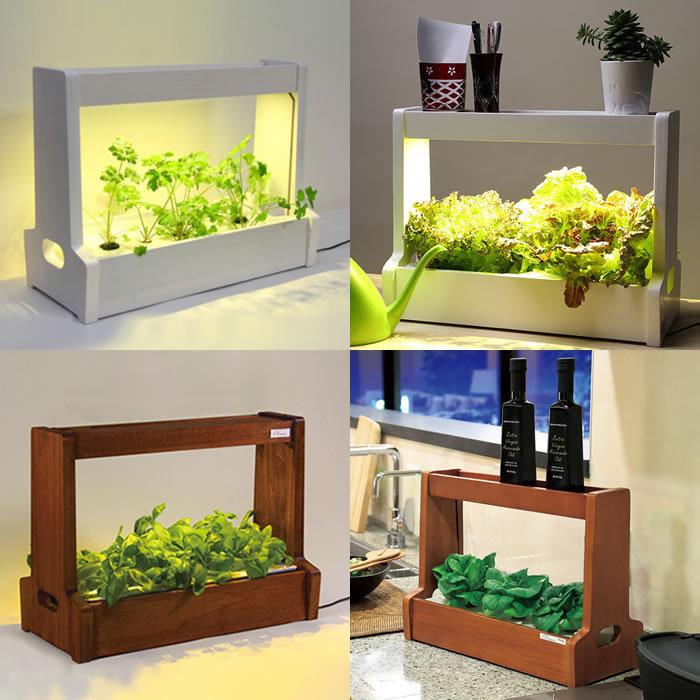 LED 水耕栽培 キット Akarina06 アカリーナ OMA06 : 水耕栽培専門店の