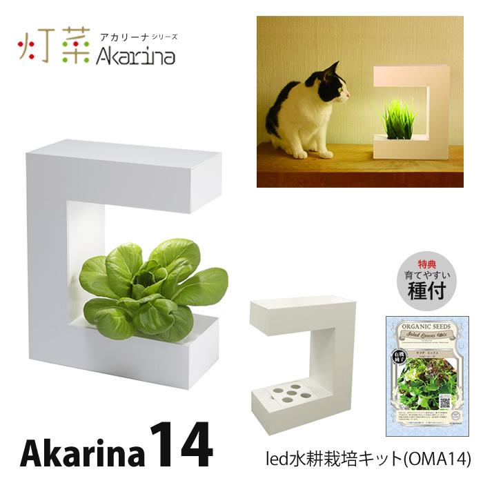 Led 水耕栽培 キット Akarina14 アカリーナ Oma14 Osak14 水耕栽培専門のエコゲリラヤフー店 通販 Yahoo ショッピング