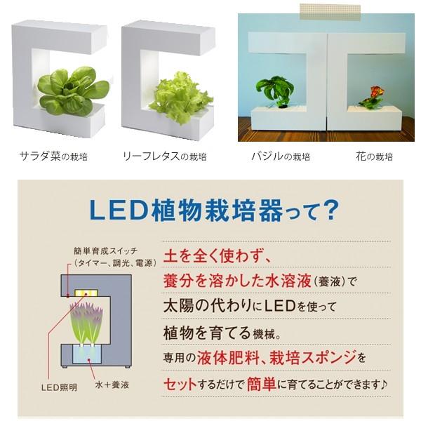 水耕栽培キット 水耕栽培セット 野菜 室内 LED Akarina14 アカリーナ OMA14 野菜栽培セット_5