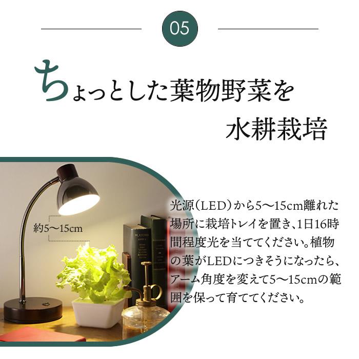 植物育成 LED テーブルランプ ライト 水耕栽培 : 水耕栽培専門店のエコ 