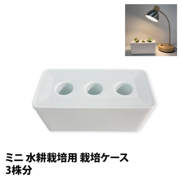 水耕栽培キット 容器 水耕栽培 ポット 栽培キット 3株分 : 水耕栽培