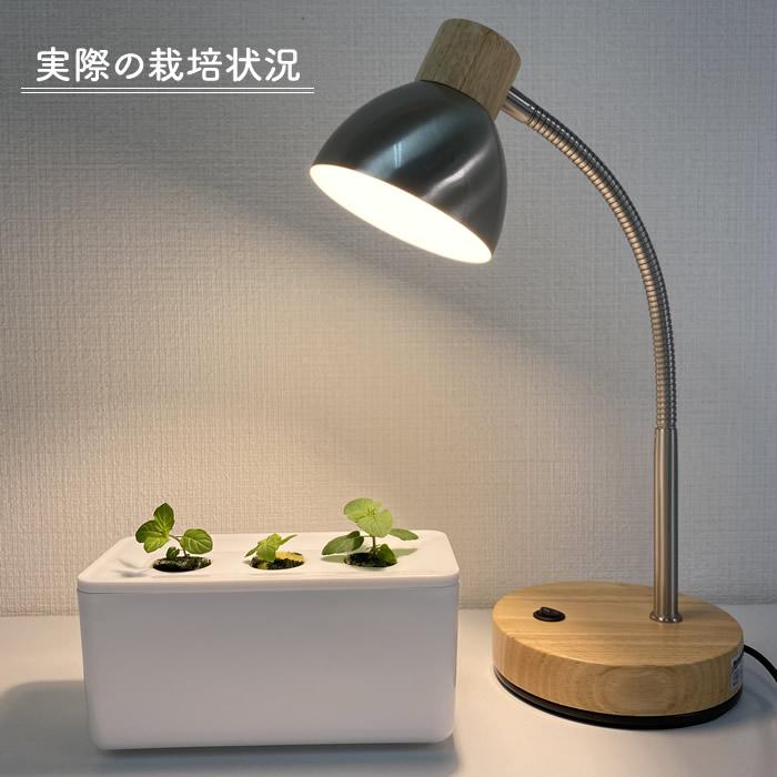 水耕栽培キット 容器 水耕栽培 ポット 栽培キット 3株分 : 水耕栽培