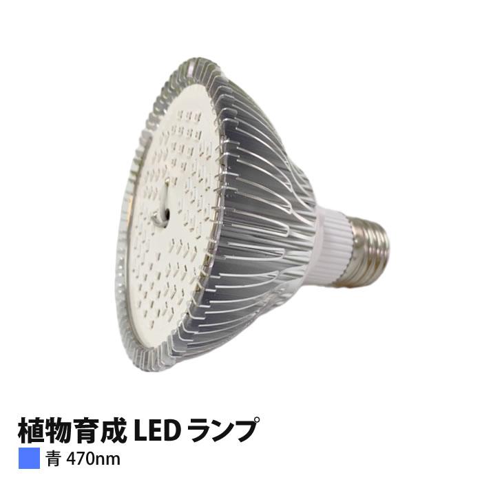植物育成 LED ランプ（青）100W相当 PAR30-470nm 【上級者向け】 : 水 