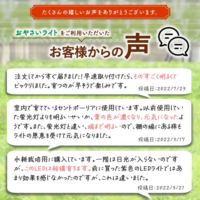 植物育成ライト LED 植物ライト 水耕栽培 野菜栽培 GG新型おやさいライト 615mm 2本セット 日本製 直送｜eco-guerrilla｜03