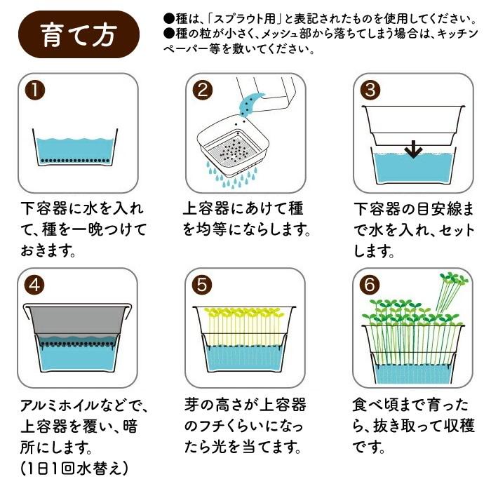 水耕栽培 容器 スプラウト 栽培 スプラウトファーム ブロッコリースプラウト 種 付｜eco-guerrilla｜05