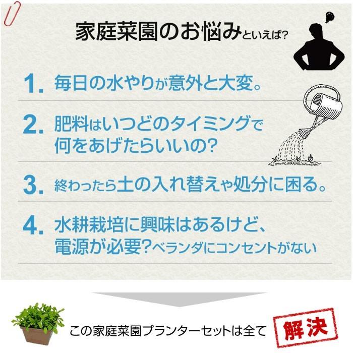 家庭菜園 プランター栽培セット 超目玉 水耕栽培 おうちのやさい 菜園キット 種 養液栽培 肥料付