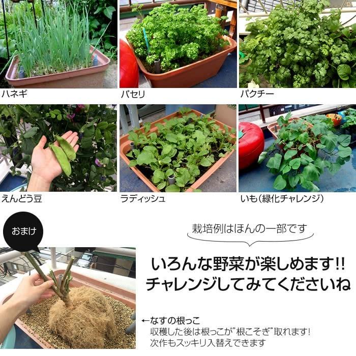 水耕栽培 家庭菜園 プランター栽培セット 水耕栽培キット おうちのやさい 菜園キット 種 肥料付 ベランダ菜園 5月限定特価 一時在庫切れ中｜eco-guerrilla｜03