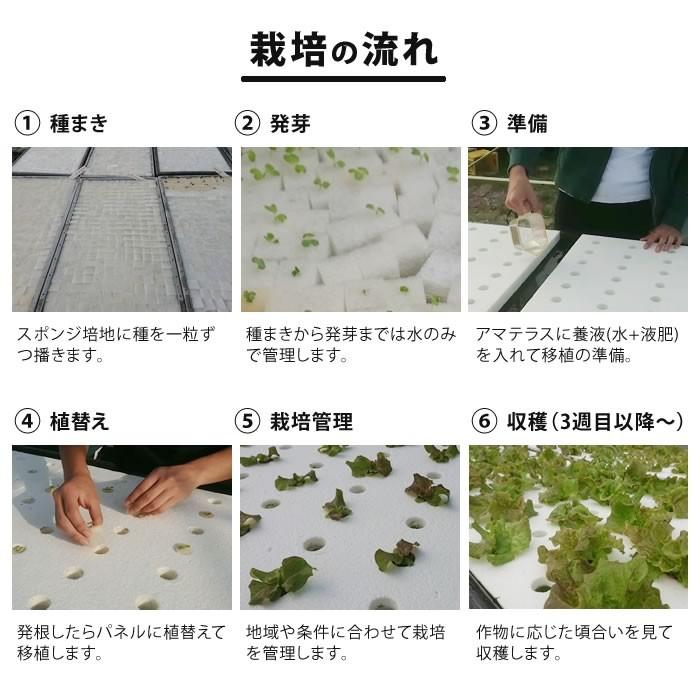 水耕栽培 水耕栽培キット 業務用 装置 DIY組み立てベースキット