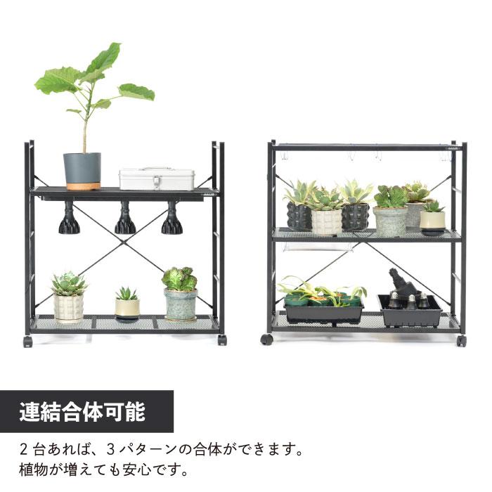 観葉植物 棚 ラック 植物棚 台 水耕栽培 室内 栽培棚 ビザールプランツ