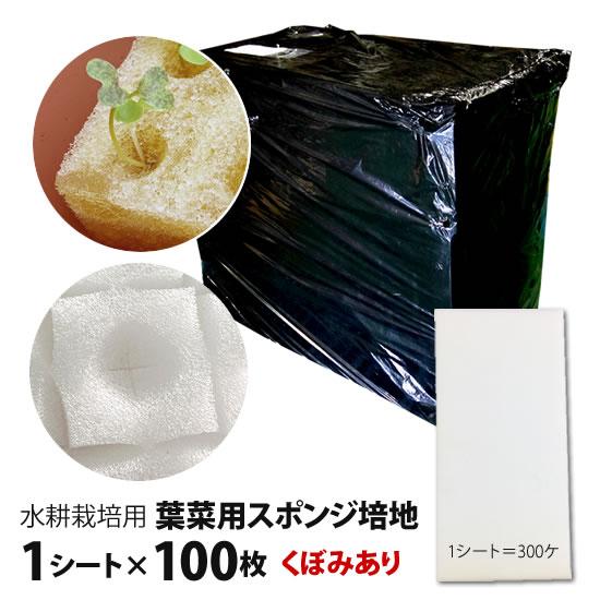 水耕作り出す 海綿質 葉菜用 培地 100枚仕掛ける 30,000株分 くぼみ細長い切口あり 直送 園芸用品-園芸用土