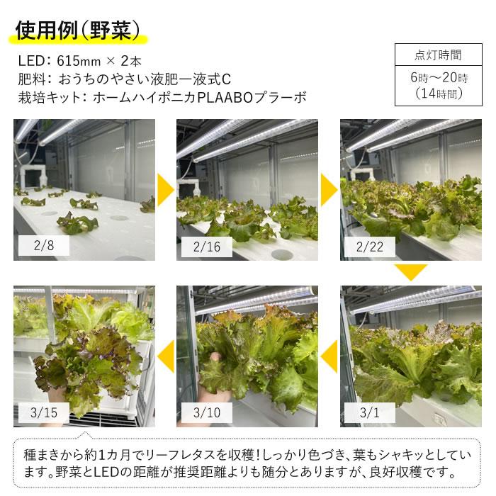 植物育成ライト led 水耕栽培 ledライト GG新型おやさいライト 1200mm
