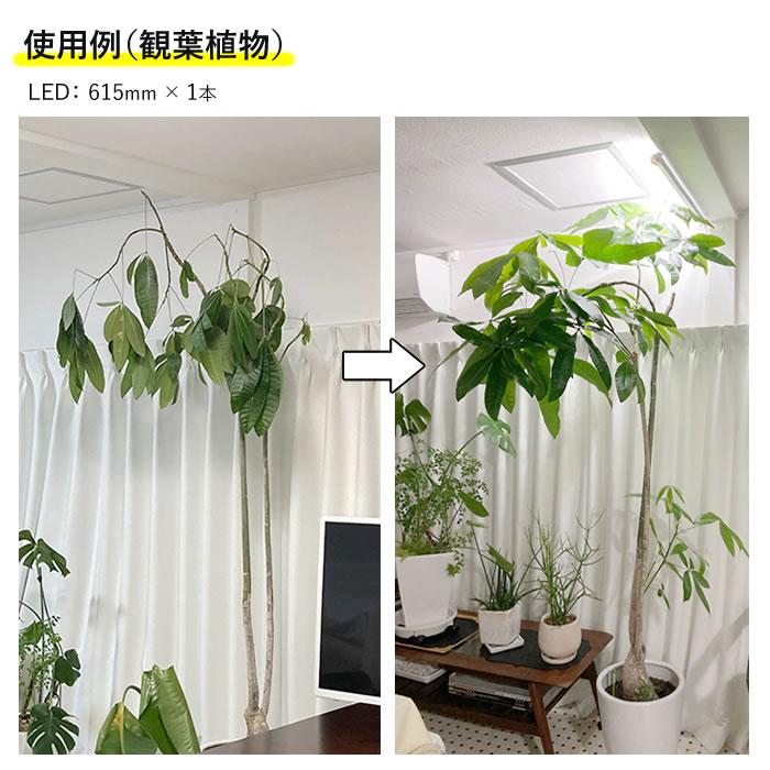植物育成ライト led 水耕栽培 ledライト GG新型おやさいライト 1200mm