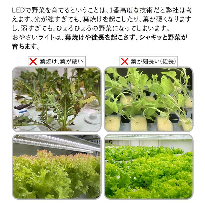 植物育成ライト led 水耕栽培 ledライト GG新型おやさいライト 植物育成ライト led 水耕栽培 ledライト GG新型おやさいライト