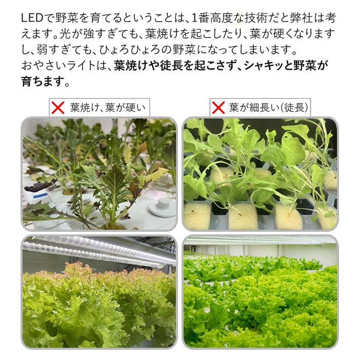 植物育成ライト led 水耕栽培 ledライト GG新型おやさいライト 900mm 1-4本専用 日本製 直送｜eco-guerrilla｜13