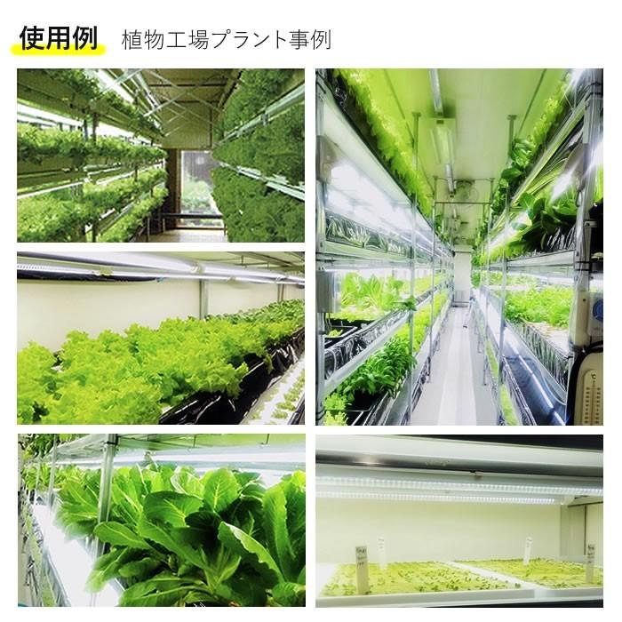 新型ACコード 野菜栽培用 LED GG 新型おやさい ライト GGA 専用 直送｜eco-guerrilla｜11