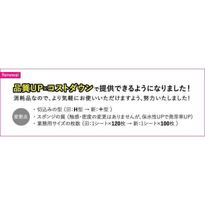 水耕栽培 スポンジ 葉菜用 培地 100枚セット 直送 Xhhpbh1 水耕栽培専門のエコゲリラヤフー店 通販 Yahoo ショッピング