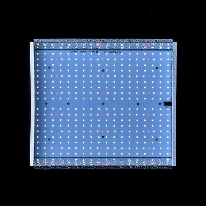 水耕栽培 植物育成灯 ソダテック LED ST 150W Sodateck 直送 : 水耕