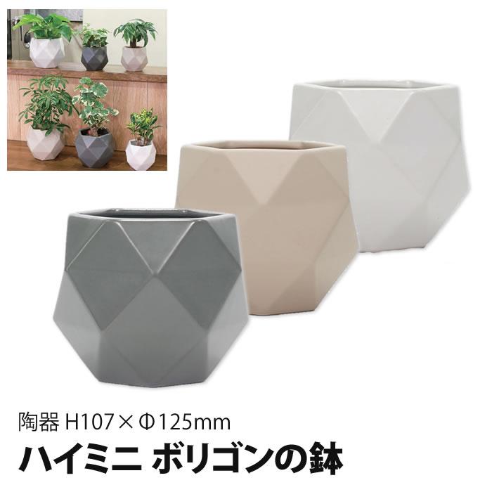 10¹² terra hydro 水耕栽培 ケース 10¹² terra hydro 水耕栽培 ケース