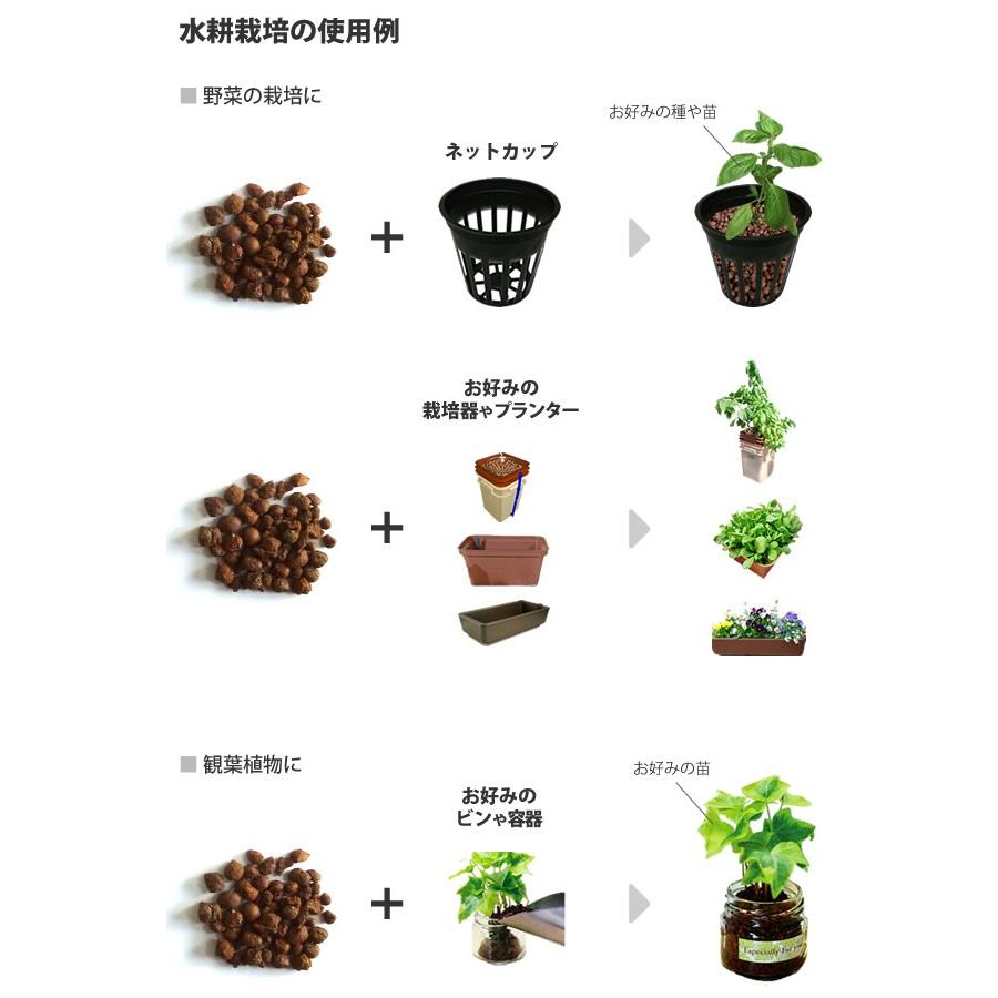水耕栽培 ハイドロコーン ハイドロボール 大粒 2l Yumhcl2 水耕栽培専門のエコゲリラヤフー店 通販 Yahoo ショッピング