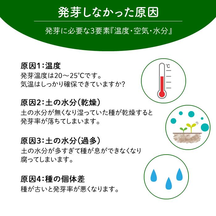 水耕栽培ポット ハイドロカルチャー 容器 観葉植物 鉢 NS-4 カネットの