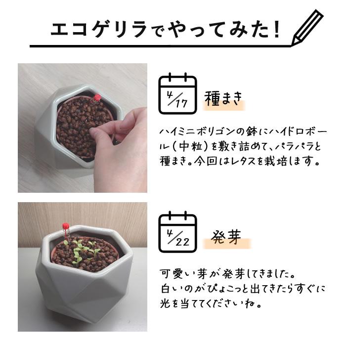 水耕栽培ポット ハイドロカルチャー 容器 観葉植物 鉢 NS-4 ティンの鉢