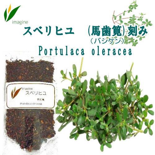スベリヒユ (馬歯筧)刻み 30g／ドライハーブ、ハーブティー、ヒョウ