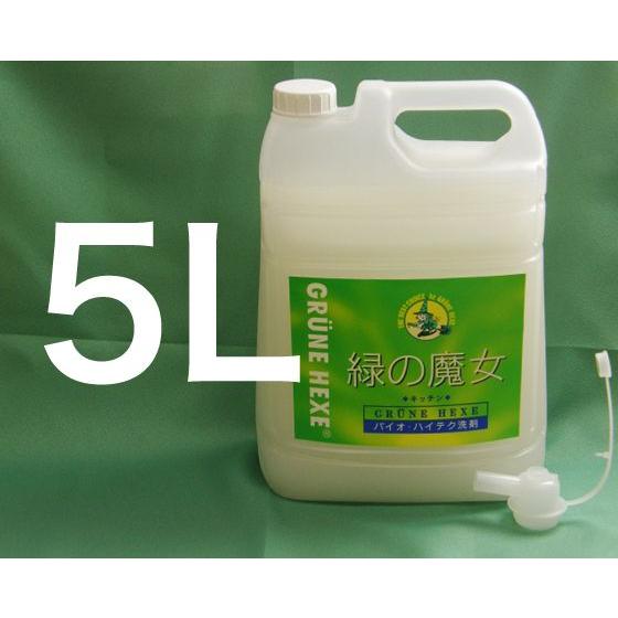 緑の魔女 キッチン用洗剤 5lキッチン 食器用洗剤 キッチン用洗剤 液体洗剤 詰め替え 洗剤 排水管 掃除 浄化槽 臭わない 洗剤 00 キッチン雑貨のお店 エコキッチン 通販 Yahoo ショッピング