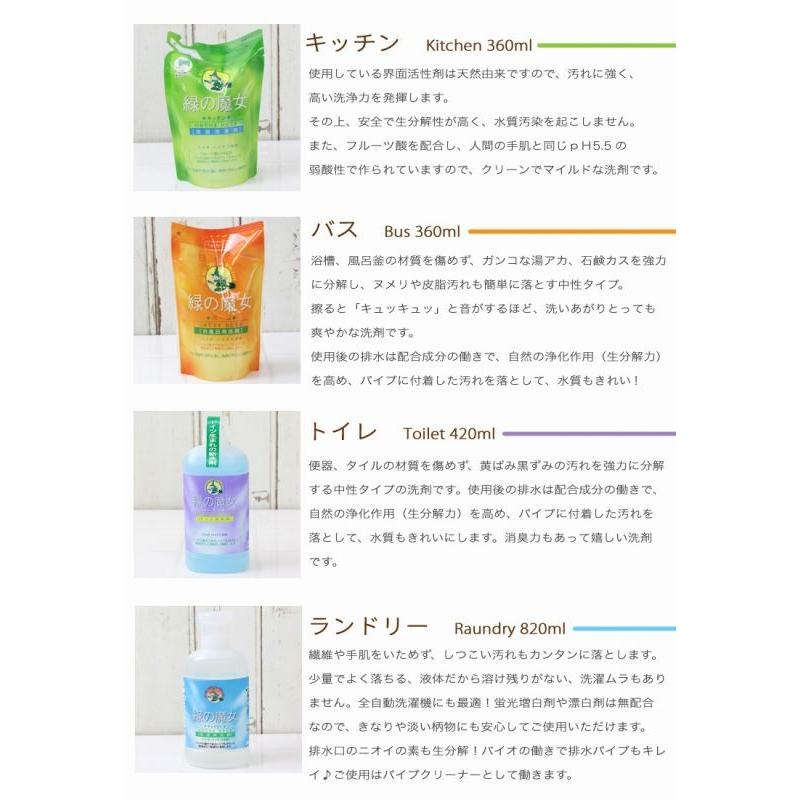 緑の魔女 ギフトセット大 Aセット 洗剤 ギフト 家庭用 洗剤 キッチン用洗剤 トイレ用洗剤 洗濯洗剤 お歳暮 洗剤 新築祝い 洗剤 00 キッチン雑貨のお店 エコキッチン 通販 Yahoo ショッピング